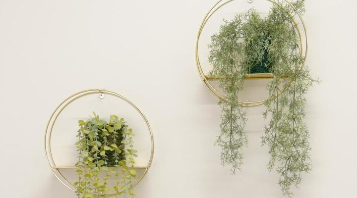 28 on Belmont self-catering Studio