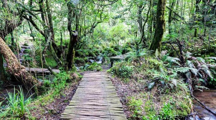 iKhayalamafu Mountain Reserve