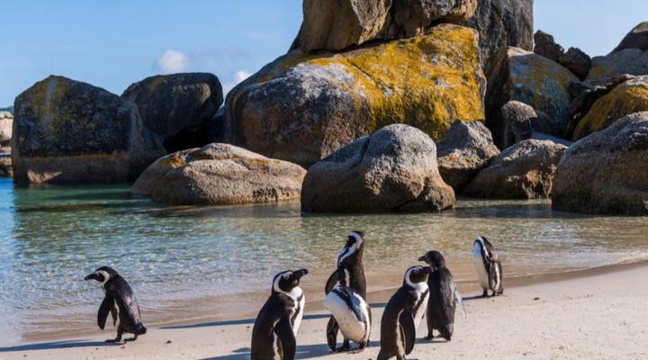 Simon’s Town Quayside Hotel