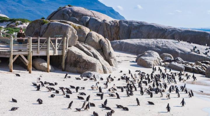 Simon’s Town Quayside Hotel