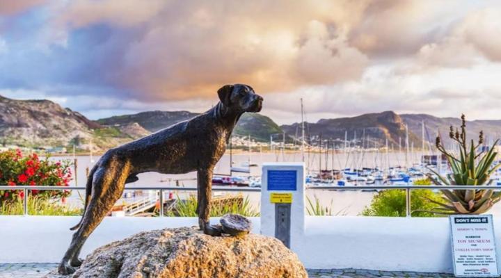 Simon’s Town Quayside Hotel