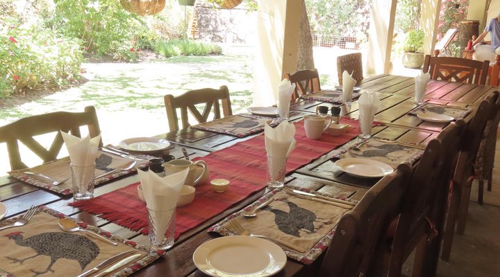 Lion Tree Top Lodge