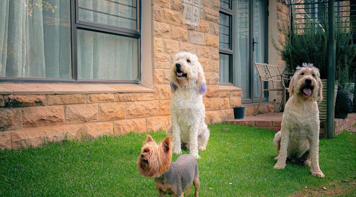 Titanic View - Place of Peace