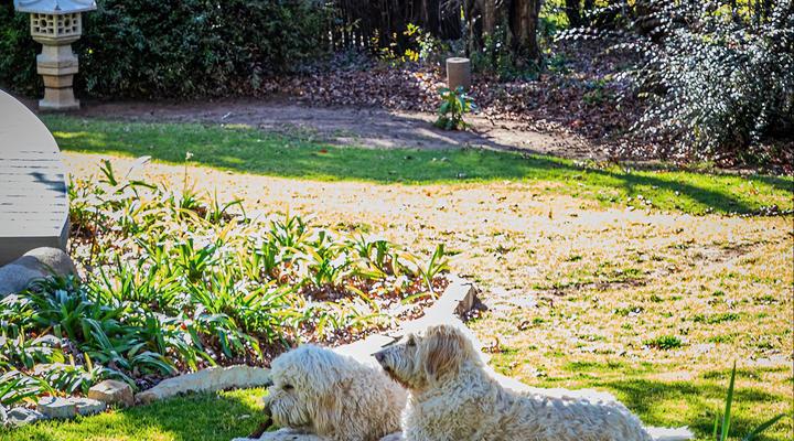 Titanic View - Place of Peace