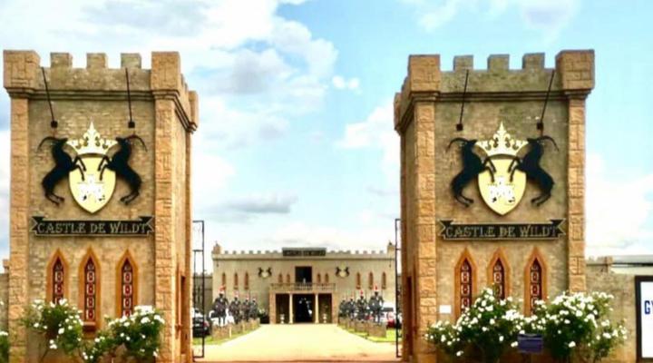 Castle de Wildt