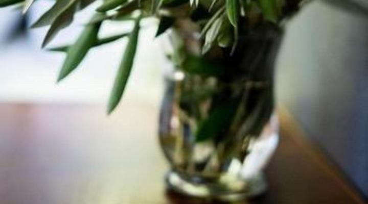 Klein Katryns B&B and Self-Catering