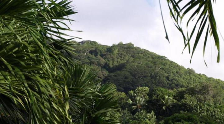 Castaway Fishing Lodge