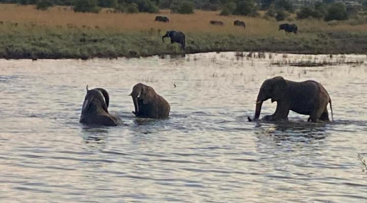 The Art House Victoria Falls