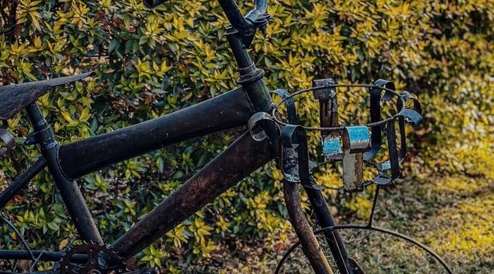 Horse's Neck Guest Lodge