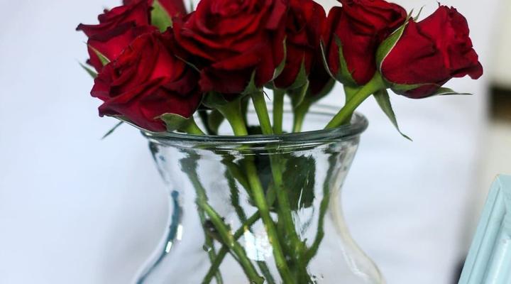 Horse's Neck Guest Lodge