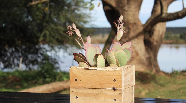 Bydand Bed and Breakfast