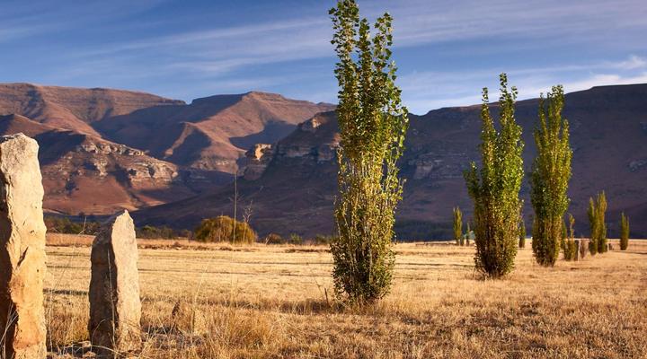 Dynasty Red Mountain Ranch