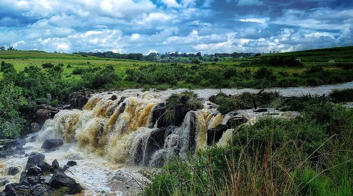 Granny Mouse Country House