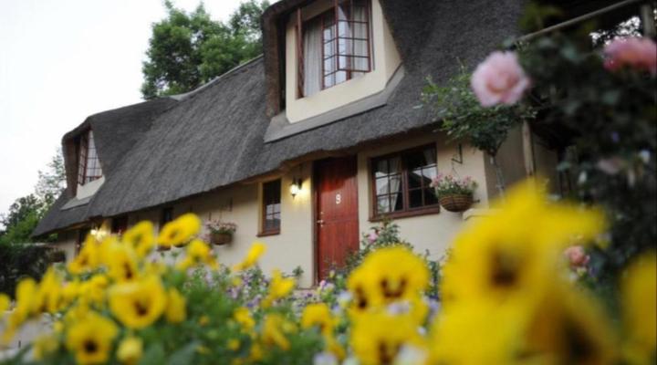 Granny Mouse Country House