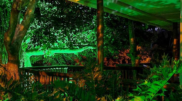 Leopard Corner Lodge