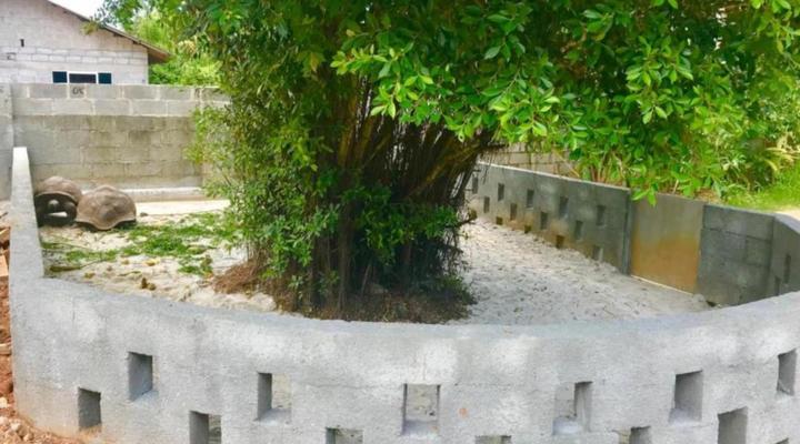 Castaway Fishing Lodge