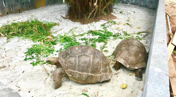 Castaway Fishing Lodge