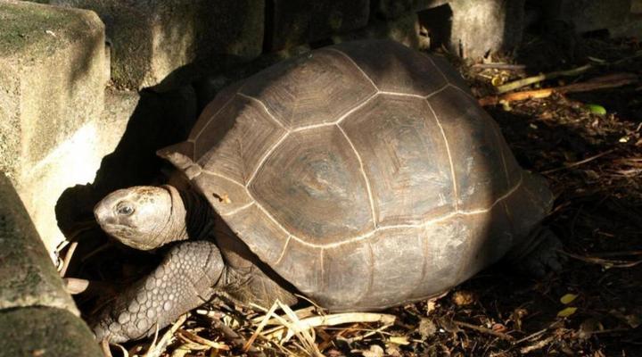 Castaway Fishing Lodge