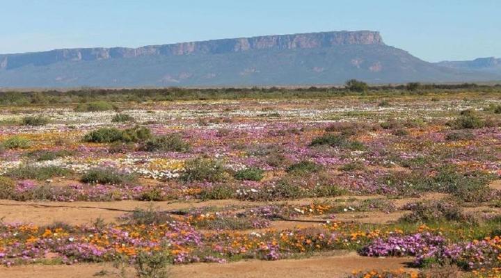 Lankverwacht Guestfarm and Camping