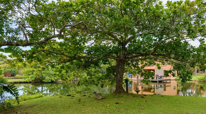 San Lameer Villa 2301 - 2 Bedroom Classic