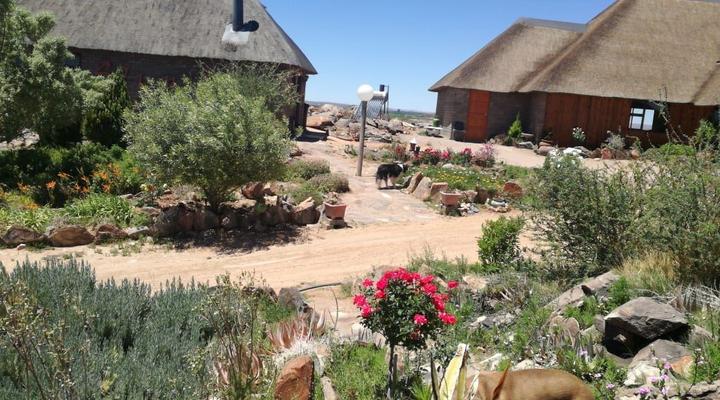 Slypsteen Guest Farm