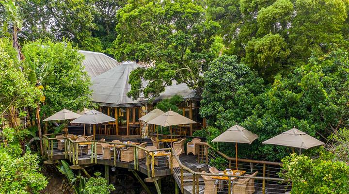 Tsala Treetop Lodge and Villas