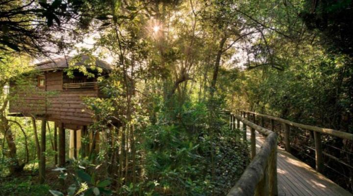 Tsala Treetop Lodge and Villas