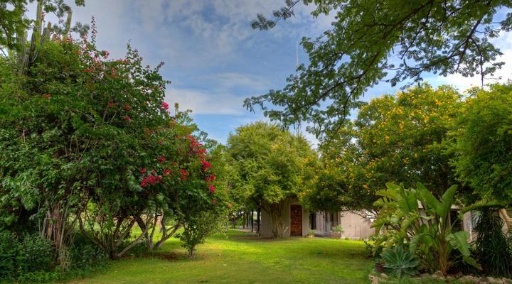 Khoi-Khoi Guesthouse