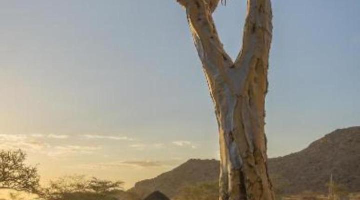 Solitaire Mountain Lodge