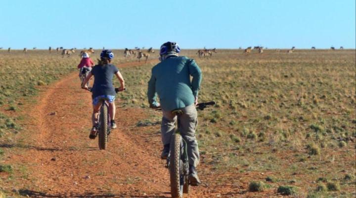 Solitaire Mountain Lodge