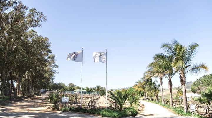 Groenvlei Guest Farm