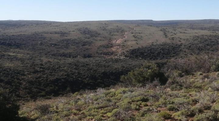 Klein Doorn Farm Stay