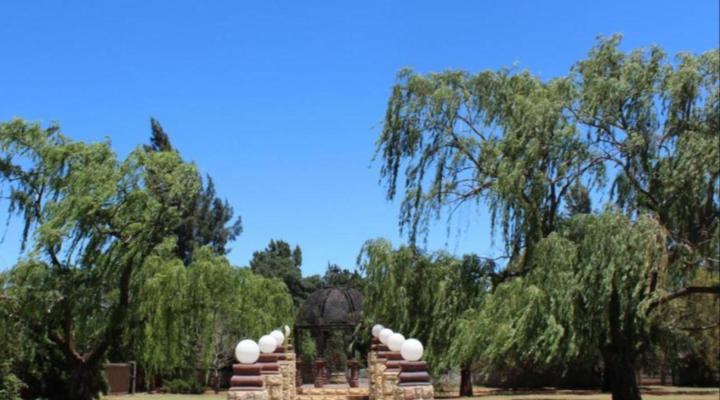 The Willow Tree Guest House