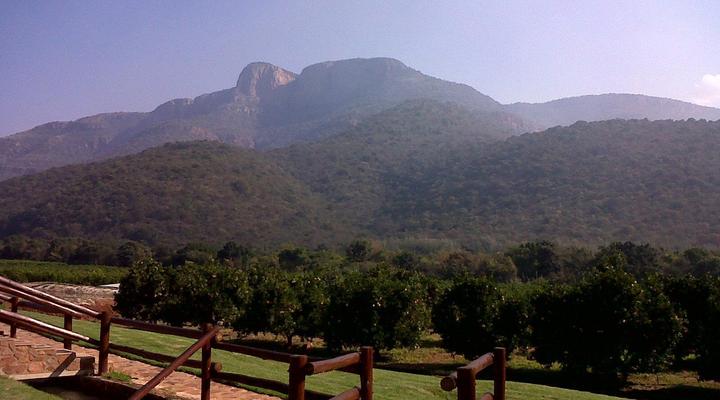 Buffelsvley Guest Farm