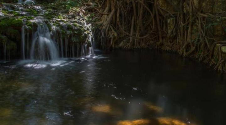 Le Gallerie Luxury Accommodation Graskop