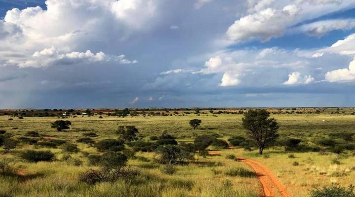 Dreghorn Kalahari Game Farm