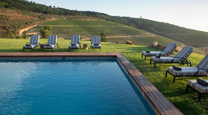 Taaibosch Collection