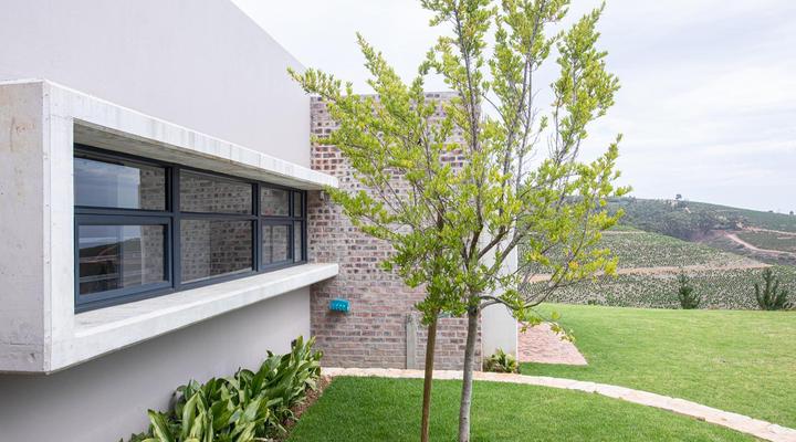 Taaibosch Collection