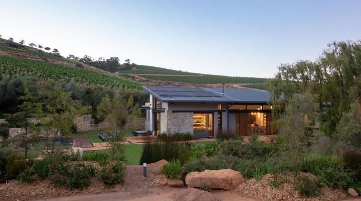 Taaibosch Collection