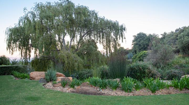 Taaibosch Collection