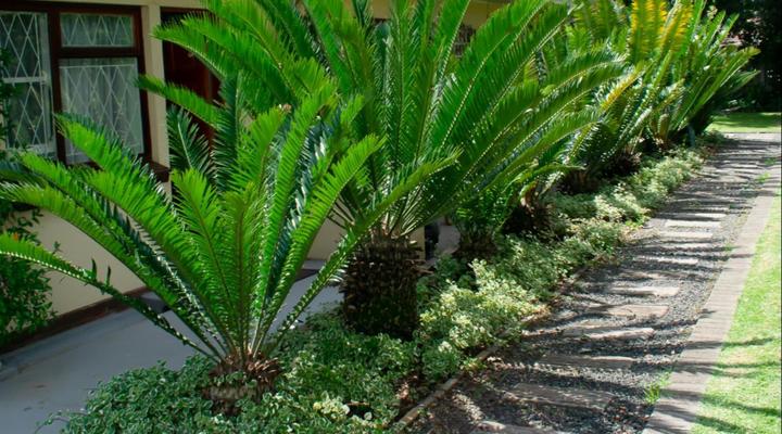 Chez Nous Bed and Breakfast