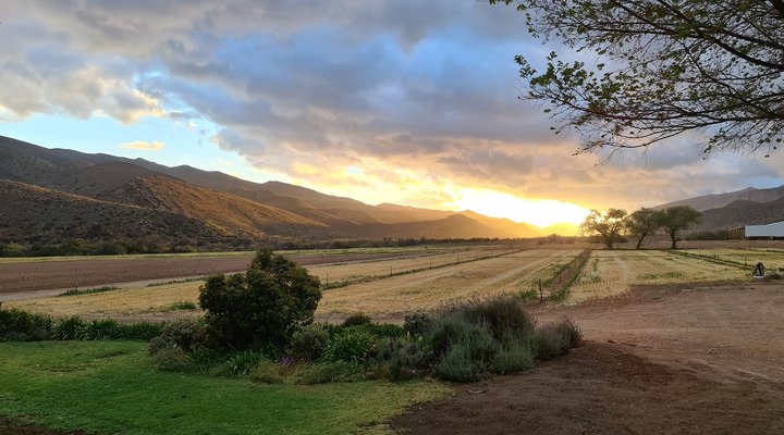 Angeliersbosch Guest House / Fernskloof Wines
