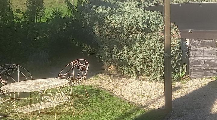 Olive Tree Guesthouse