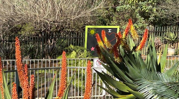 Sabie Self-catering Apartments