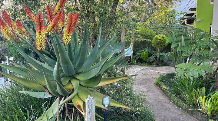 Sabie Self-catering Apartments