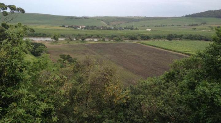 Serendipity Country House