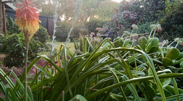 Howick Greendale Self-catering