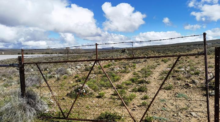 Blesfontein Guest Farm
