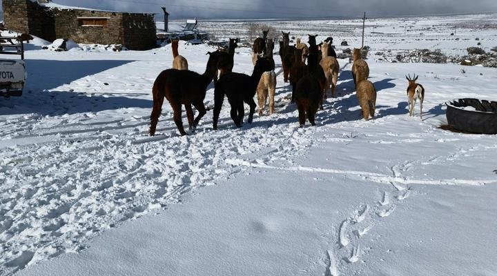 Blesfontein Guest Farm