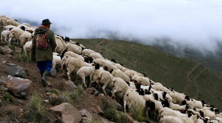 Blesfontein Guest Farm